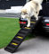 Fellie Folding Dog Ramp, 61L Portable Lightweight Pet Ramp for Medium & Large Dogs up to 165LBS, Non-Slip Surface, Steps for Car, Trucks & SUVs