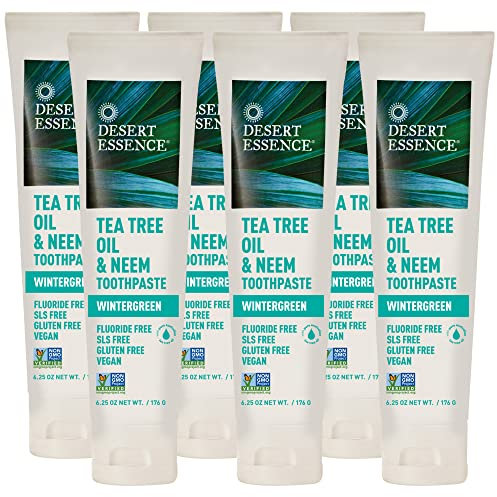 Desert Essence Tea Tree Oil & Neem Toothpaste, Wintergreen (Pack of 1)