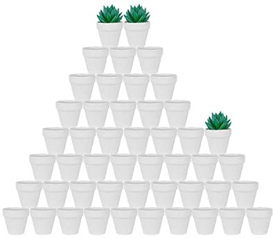 Lot de 48 Petits Pots en Terre Cuite – 5,1 cm Blanc Petits Mini Pots en Argile avec Trous de Drainage Pots en Terre Cuite pour pépinière de Fleurs pour Plantes succulentes d'intérieur/extérieur