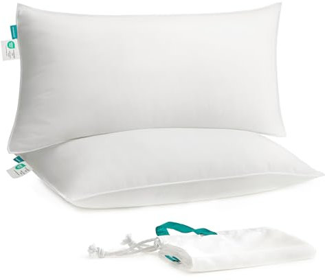 SONGMICS Kopfkissen 40 x 80 cm, 2er Set, Füllung 800 g, Stoffoberfläche aus weichem, gebürstetem Polyester, Kissen, maschinenwaschbar bei 60°, mit Aufbewahrungstasche, wolkenweiß TBP001W02