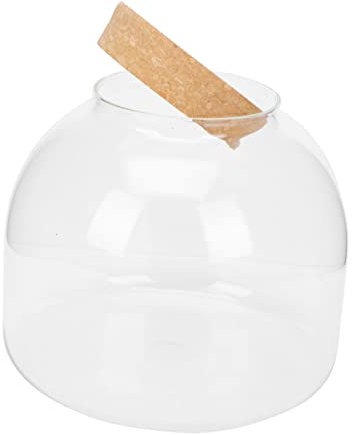 Levemolo Satz Von Landschaft Flasche Glas Moos Terrarium Einfache Flasche Für Dekoration Büro