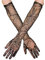 Boland 74543 - Handschuhe Ellenbogen Spiderweb, Schwarz, Damen Erwachsene, 100% Polyester, Hexen, Spinnen, Halloween, Karneval, Mottoparty, Zubehör, Accessoire