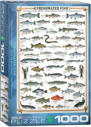 empireposter Süßwasser Fische - 1000 Teile Puzzle im Format 68x48 cm