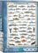 empireposter Süßwasser Fische - 1000 Teile Puzzle im Format 68x48 cm