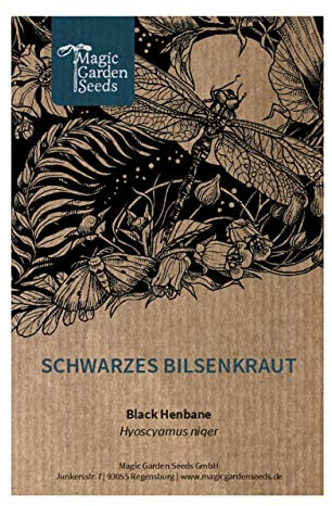 Schwarzes Bilsenkraut (Hyoscyamus niger) - ca. 100 Samen ein-bis zweijährige Wildblume alte Heilpflanze Giftpflanze Hexenkraut