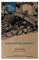Jusquiame noire (Hyoscyamus niger) env. 100 semences