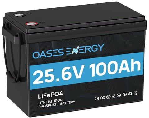 Oasesenergy 24V 100Ah Mini Batteria Litio,con BMS 100A, 4000~15000 Cicli, Durata di 10 Anni, Batteria Lifepo4 Per Impianti Solari e Accumulo Di Energia Domestico,Camper,Campeggio, casa solare, barca