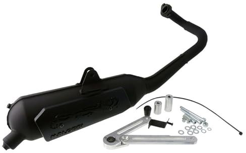 Pot d'échappement MALOSSI Wild Lion pour Kymco Agility, Dink, People et Super9, Top Boy