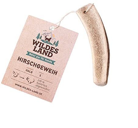 Wildes Land - Hirschgeweih Halb - S - Natürlich abgeworfenes Geweih - Reines Naturprodukt ohne Zusätze - Geruchslos, splittert Nicht - Unterstützt die Zahnreinigung - Geweihkausnack