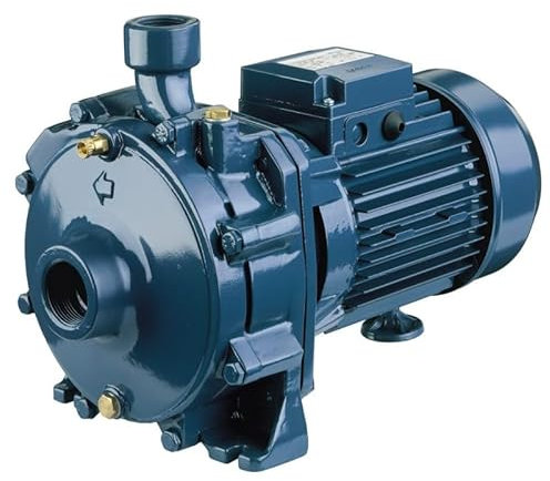 Ebara - Pompa ad acqua CDA100M 0,75 KW a doppia ruota in ghisa fino a 5,4 m3/h monofase 220 V