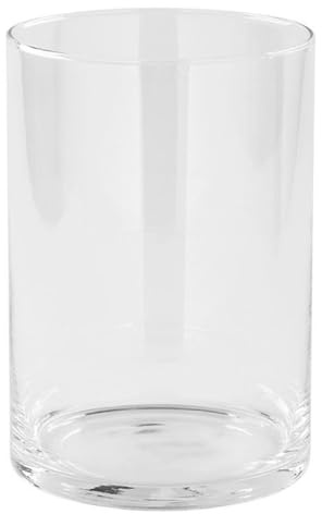 Fink GLASZYLINDER/mit Boden/HC/H.28cm, D.20cm