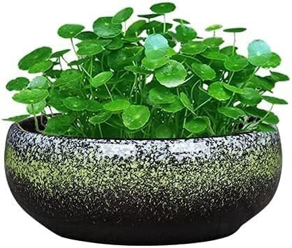 Maceta de cerámica de 7,2 pulgadas, redonda, retro, grande, poco profunda, esmaltada, para exteriores, para suculentas, para bonsái, para jardín, decorativa, alféizar, decoración de jardinería, regalo