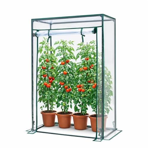 KANWOD Serre de Jardin - Stable et Facile à Monter - Porte Enroulable - Film 140 g/m² - Serre d'hivernage idéale pour Balcon, Terrasse et Jardin – 150×100×50 cm - Transparent