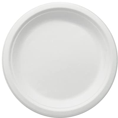 wisefood Zuckerrohr Teller - 400 Stück flache Bagasse Einwegteller rund weiß ∅ 26cm - Einmal Pappteller ideal als Partyteller oder Speiseteller - Nachhaltiges Zuckerrohr Geschirr ohne PLA/PE