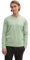 TOM TAILOR Herren Strickpullover mit V-Ausschnitt, 37098 - Spring Green Melange, S