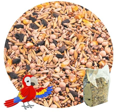 R&M Nourriture pour perroquet 0,8 kg | Nourriture pour oiseaux, cacatoès, amazones, mélange de qualité supérieure