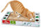 kogu ® Rascador para gatos con 4 bolas y hierba gatera incluida, forma ergonómica con borde para jugar y arañar a los gatos para proteger la vivienda, dimensiones ideales 45 x 25 x 5 cm
