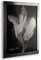 Orion Deluxe Bilderrahmen Posterrahmen 70x100 cm Farbe und Verglasung wählbar Edelstahl Dekor 100x70 cm mit weisser Rückwand und spiegelfreiem Antireflex Kunstglas 1 mm