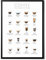 State Media Vision Coffee Types Poster, Kaffee Guide für die Küche, 24 Möglichkeiten, Espresso-Variationen, A4, ungerahmt