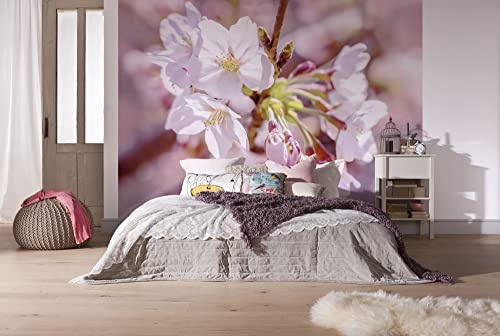 Komar Vlies Fototapete - Pink Blossom - Größe 248 x 184 cm, 4 Teile inklusive Kleister - Tapete, Wohnzimmer, Schlafzimmer