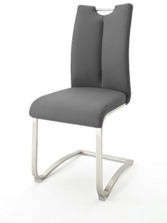 123wohndesign Artos 2 Stühle Schwinger, Schwingstuhl, Freischwinger, Grau, 140 kg