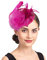Épingles à cheveux Femme Accessoires Coiffure Mariage Chapeau Bibis Fascinator Bride Voilette en Maille Élégantes Serre-tête pour Cocktail Mariage Cérémonie Photographe Fête Soirée Déguisement
