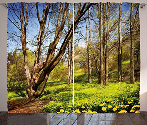 ABAKUHAUS Natur Rustikaler Gardine, Frühlingswaldblumen, Schlafzimmer Kräuselband Vorhang mit Schlaufen und Haken, 280 x 260 cm, Braun Blau