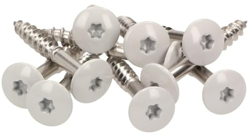 100x MEISTERLING® Fassadenschrauben INOX V4A 4,8 x 20 mm – Flachkopf Torx T20 + 1 Bit – Hellgrau