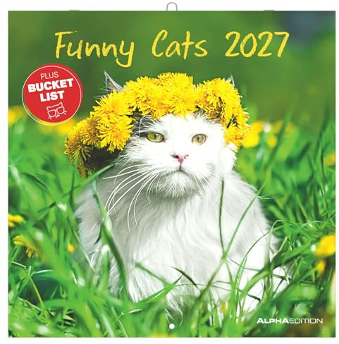 Funny Cats 2027: Wandkalender 30x30 cm (30x60 cm geöffnet) mit Notizkalendarium, 12 lustigen Katzenfotos und Bucket-List