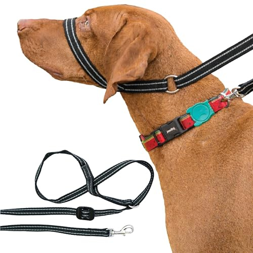 Gencon - Clip-to-Collar Dog Headcollar and Lead - Trainer Approved - One Size Dog Training & Behaviour Aid - Soft & Gentle Design with Trigger Clip - Left - Made in Britain - Black/Silver