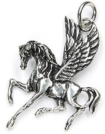 Drachensilber Pegasus Anhänger Silber mystischer Kettenanhänger geflügeltes Pferd Schmuckanhänger Frauen Larp Fantasy