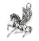 Drachensilber Pegasus Anhänger Silber mystischer Kettenanhänger geflügeltes Pferd Schmuckanhänger Frauen Larp Fantasy