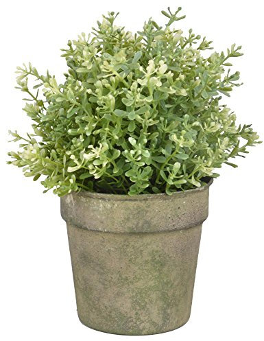 Esschert Design Jardinière Verte AM92, Taille Unique