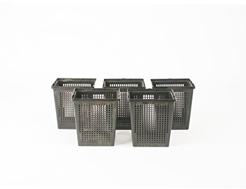 Inter Flowers GmbH - 5 cestas para plantas acuáticas, 11 x 11 cm, color negro, para estanque de jardín, apto para lirios de agua, plástico, exterior