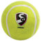 SG Endura (Heavy Tennis Ball Synthetik) Cricket Ball