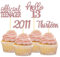 24 Stück Glitzer 13. Geburtstag Cupcake Topper, Geburtstagsdeko 13 von 2012 für 13. Geburtstag Junge, 13 Geburtstagsfeier Zubehör Party Dekoration Kuchendekoration (Rose Gold)