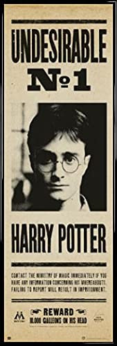 Harry Potter Tür-Poster Plakat | Bild und Kunststoff-Rahmen - Unerwünschter Nr 1, Daniel Radcliffe (158 x 53cm)