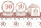 Aisszhao 53Pcs Rose Gold Tableware Set - 30th Birthday Table Cloth, Napkins, 7+9in Paper Plates - Anniversary Decor for Her 30th Birthday Party Supplies