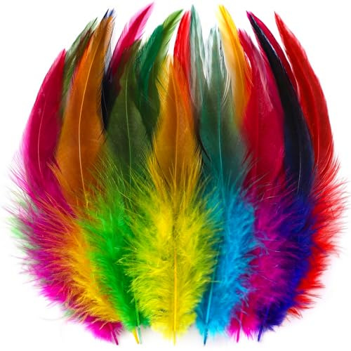 Holmgren Colorful Rooster Feathers Bulk for Crafting, 200pcs 5-7inch | Colored Large Feathers for Kindergarten DIY Crafts, Shool Art Projects, Hats, Party Costumes, Thanksgiving Decorations