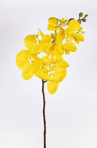 Orchideenzweig Real Touch 94cm ZJ Kunstblumen künstliche Orchidee Orchideen Blumen … (Gelb)