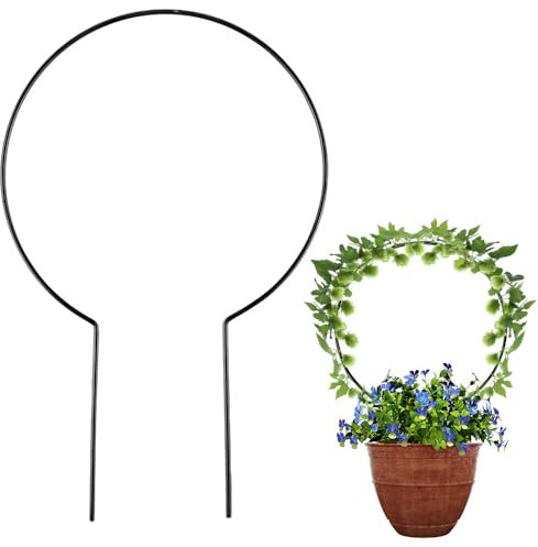 Pflanzenhalter, Rankhilfe Zimmerpflanzen Pflanzenstützen, Stützpfähle Blume Zimmerpflanze Spalier für Topfpflanzen & Garten Stängel Reben (#B)