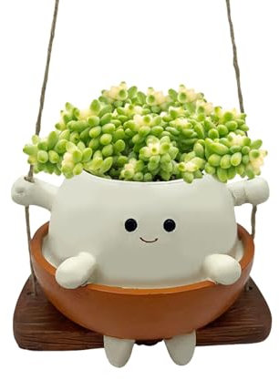 Lergas Maceta Colgante, Columpio con Cara de Sonrisa, Linda Maceta de Columpio, Maceta para Plantas Suculentas Pequeñas, Maceta Colgante Cubremacetas para Decoración de Jardín, Balcón, Hogar