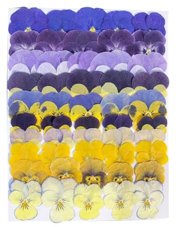 50Pcs Dried Pressed Pansy Flowers, 10 Kinds for Cake Decorating Supplies for Dessert Cupcake, Resin Jewelry Making, Candle Soap Decoration, Flower Art for Craft