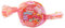 Num Noms Mystery Pack Series 7-1
