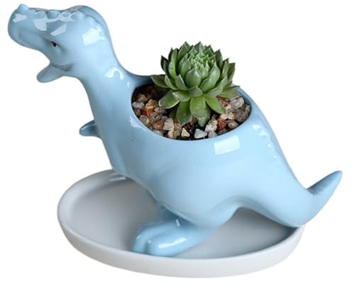 Eabdice Dinosaurier Blumentopf, Dinosaurier Sukkulenten Topf, Dinosaurier Keramik Blumentopf, Geeignet für Balkone, Gärten, Bücherregale, Blumenständer