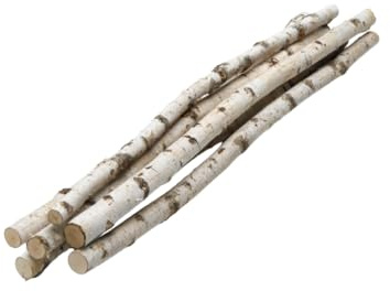iWerk® – 6er Bundle Birkenstämme Natur | 90 cm Länge, Ø 2–4 cm | Echtholz für DIY-Deko, Raumteiler & Wandgestaltung | Helle Birkenäste als natürliche Dekoration
