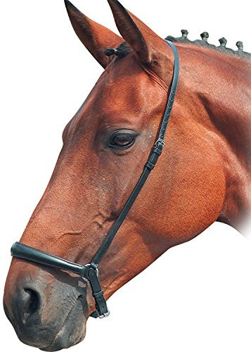 Shires Blenheim Reithalfter für Pferde, Havanna, Größe: Pony