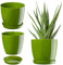 KADAX Élégant Pot de Fleurs, Pot à Plantes avec Soucoupe, Pot de Fleurs Rond, Pot de Fleurs en Plastique, Cache-Pot pour Fleurs, Pot de Fleurs Interieur Ø 16 cm Vert