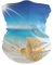 Sawhonn Coquille De Plage Ciel Bleu Bandeau Foulard Écharpe Masque Bandana Bandeaux de Magique Cagoules Headwraps pour Le Sport Femmes Hommes