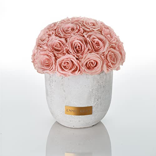 Solid Infinity Collection - Traumhafte Infinity Rosen, 1-3 Jahre haltbare Rosen, Betonvase mit echten, konservierten Rosen, edle Premiumrosen - Größe M (Antique Pink)